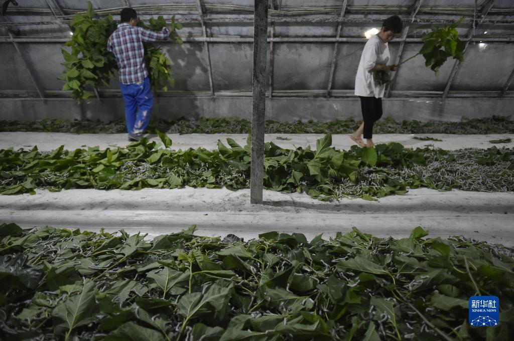 波克捕鱼创始人是谁